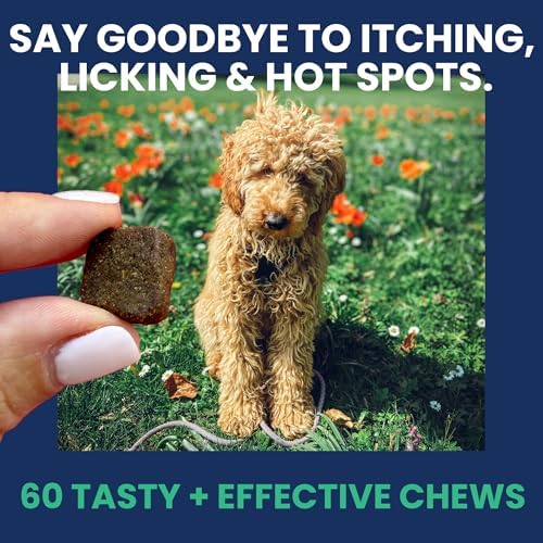 Under the Weather Allergy & Itch Pet Allergy Chews for Dogs | Vet Formulated Skin Support for Canines | Soothing Dog Allergies and Itching Relief Supplement | 60 Count