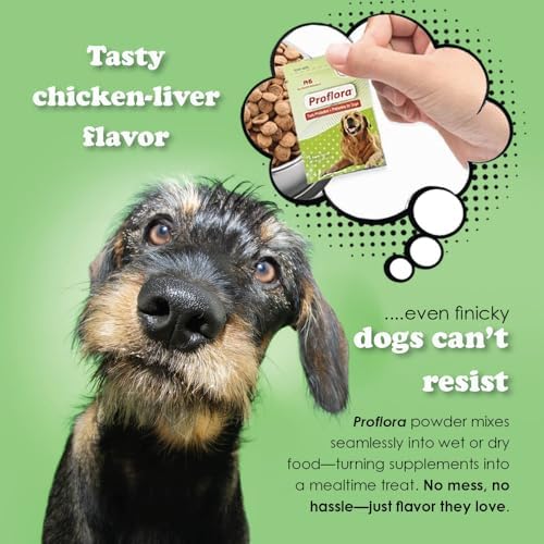 Probiotics and Prebiotics for Dogs – Daily Digestive Health Supplement, Supports Immune System, Gut Health, Healthy Digestion & Nutrient Absorption, 30 Powder Sachets.