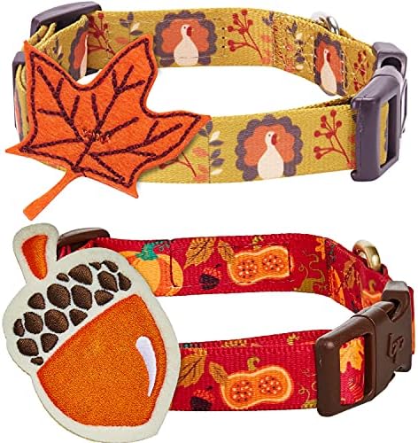 Blueberry Pet Thanksgiving Collar Bundle Set - Small Turkey Collar + Small Pumpkin and Acorn Collar