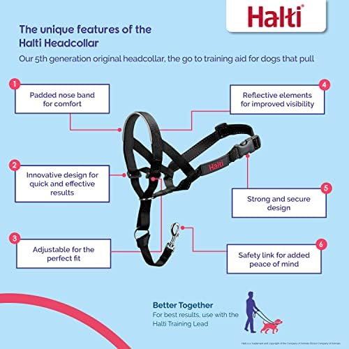 Halti Headcollar | Size 3, Cobalt Blue | Training Collar for Medium Dogs
