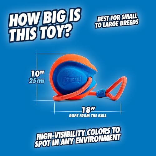 Chuckit! Rope Fetch Dog Toy, Ball on Rope, Durable EVA Rubber, 5.5-in | 18-In Rope Toy Doubles as a Fetch and Tug-of-War Toy for Dogs, Built in a Durable Orange and Blue Design for Play