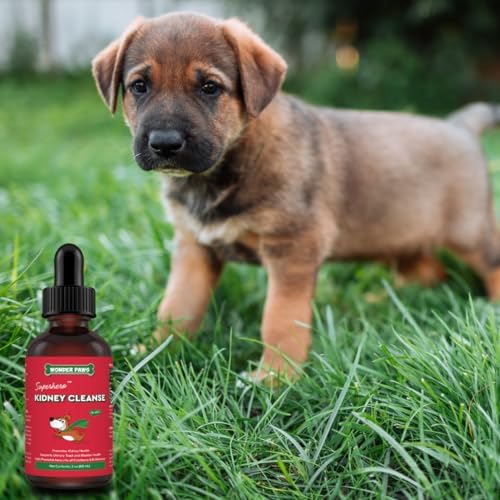 WONDER PAWS Melatonin Drops Plus Kidney Cleanse Drops - for Dog Relaxation, Urinary Tract, Kidney & Overall Wellness – Melatonin 2 Ounces - Kidney Cleanse 2 Ounces