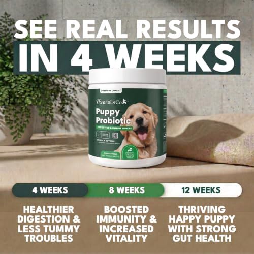 Puppy Probiotic Powder + Colostrum - NovaTails, Gut Health, 14oz