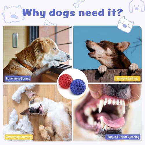 HIPPIH Indestructible Squeaky Dog Toys, Interactive Dog Balls 2 Pack | Chew Toys for Aggressive Chewers, Natural Rubber, Large/Medium Dogs, Tough Puppy Teething Toy, Relieve Anxiety