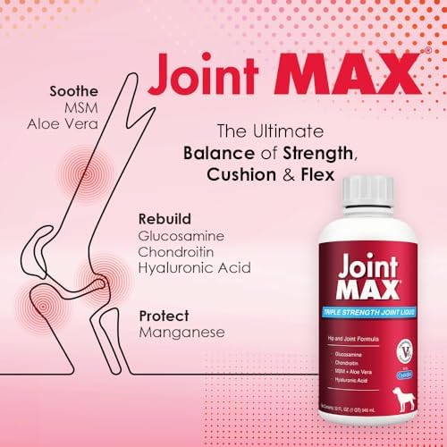 Liquid for Dogs – Glucosamine Chondroitin MSM Hip & Joint Supplement Liquid with Organic Turmeric – All-Natural Dog Joint Support Oil for Mobility, Arthritis, Skin & Coat – 32 fl oz