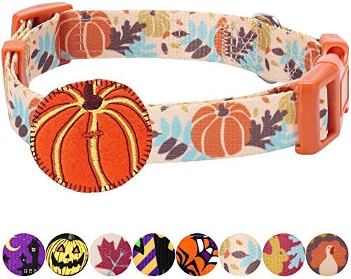 Blueberry Pet 8 Patterns Thanksgiving Fall Harvest Festival Pumpkin Designer Adjustable Dog Collar with Decoration, Large, Neck 18"-26"