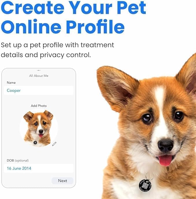 Personalised 4Pcs Dog & Cat Smart QR Pet Tag | Private Calling | IP67 Name ID Tracker Anti-Lost Scratch-Resistant Pet Keychain Style for Doggy Kitten Kitty Puppy | Instant Location Alerts