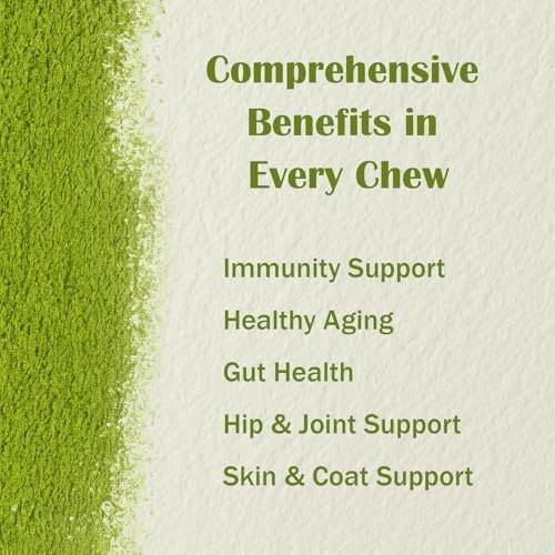 Dog Multivitamin Powder, 45-in-1 for Joint, Gut & Immune Support, 8.8 oz | Probiotics, Omega 3, chondroitin & digestive enzymes; bacon pumpkin flavor, easy to mix with food, skin & coat support