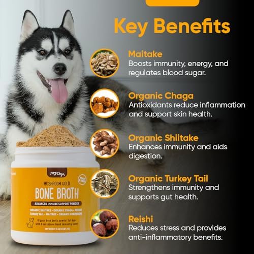 iHeartDogs Bone Broth & Turkey Tail Mushroom Powder Supplement for Dogs