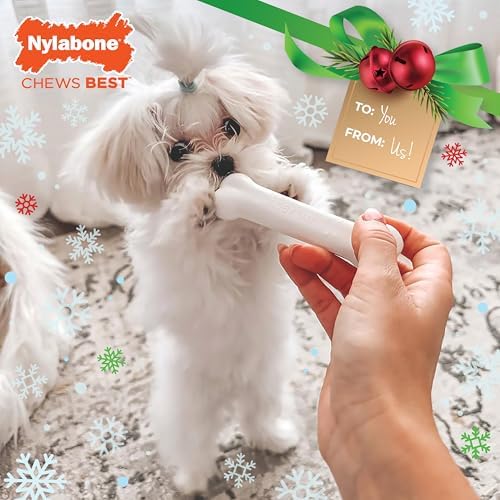 Nylabone Puppy Chew Holiday Puppy Starter Kit Dog Chew Toy, 3 Count | Dog toys for small dogs up to 25 lbs, chicken flavor puppy chew toys, bacon flavor chew treat, great for puppy teething