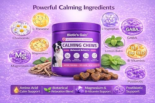 Biotic’s Gain Calming Chews for Dogs – Soft Calming Supplement with L-Theanine, Magnesium, Chamomile & Postbiotics – Supports Relaxed Behaviour & Daily Calm (120, Calming Chews)