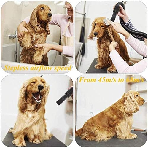 Pet Grooming Hair Dryer Pet Blaster 2200W Stepless Speed Gear Control Low Noise Dogs Hairdryer Adjustable Temperature Heater Dryer Blaster Has 4 Nozzle Options (Color : Yellow)