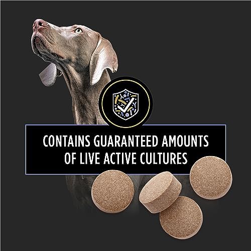 Purina Pro Plan Veterinary Supplements FortiFlora Dog Probiotics Chewable Tablets to Support Digestive and Immune Health and Occasional Diarrhea
