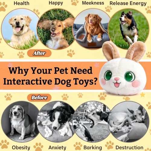 Interactive Dog Toy, 3 Modes Bouncing Talking Squeaky Dog Toy(Rabbit) | Cozisvoker Electric moving dog toy with Automatic Bouncing, Singing and Recording Functions for Small Medium Large Dogs