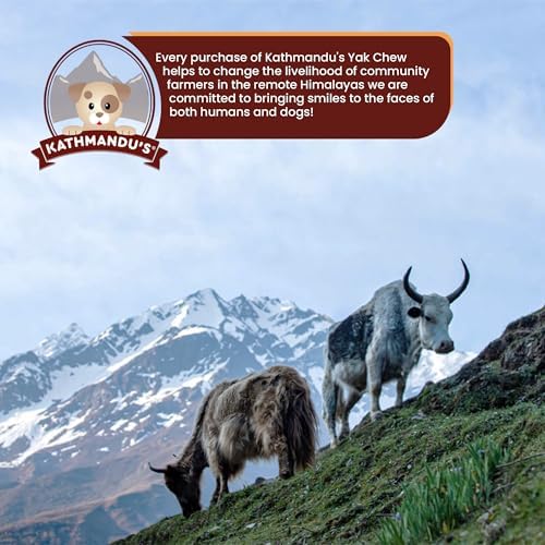 KATHMANDU'S Yak Cheese Powder Dog Food Topper 8 oz for Picky Eaters