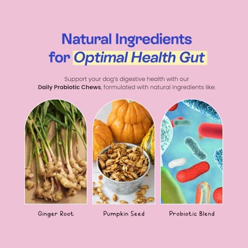 Probiotics for Dogs, Gut Health, Digestive Support & Occasional Diarrhea Relief - Turkey Flavor - 30 Soft Chews