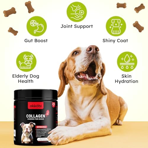 Collagen for Dogs - 150 Chews - Joint, Skin & Coat Supplement with Hyaluronic Acid, Eggshell Membrane & Vitamin C - Daily Hip & Joint Support for Senior Dogs & Puppies - Beef