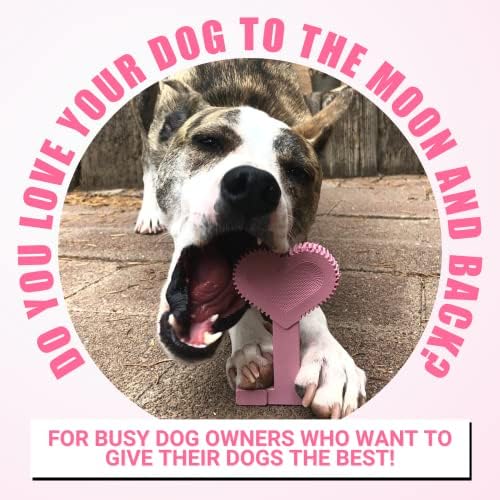 Bullibone Nylon Dog Chew Toy for Aggressive Chewers - Dental Hygiene Bone with Peppermint Flavor, Durable Tough Chew Toys for Large Dogs, Indestructible Dog Bone - 2 Pack