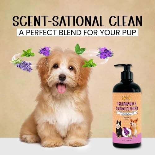 POM Pets 2-in-1 Organic Dog Shampoo & Conditioner – Itchy Skin Relief, Dog Deshedding, Detangles Fur, Cat Shampoo, Paw Cleaner for Dogs, Natural Coat Defense Formula