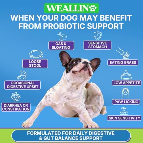 Probiotics for Dogs, Dog Probiotics for Yeast, Itchy Skin and Itchy Ears