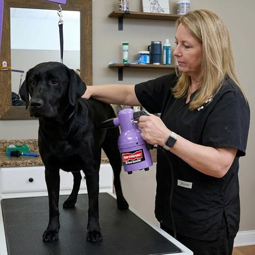 METROVAC Quick Draw Cosmic Purple Dog Dryer | Portable Pet Dryer & Dog Blow Dryer | 1.3 HP Single Speed USA