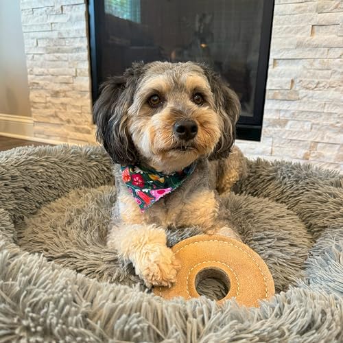SPOT Dura-Fused Chunkies Ring Dog Toy, Natural Leather and Felt, Durable Chew Toy for Aggressive Chewers, No Squeak or Fluff, for Adult Dogs and Teething Puppies, 6 in