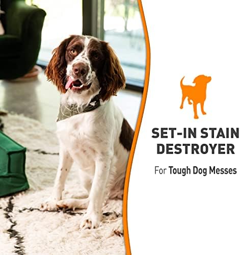 Nature's Miracle Oxy Set-In Stain Destroyer, Dog Odor Control, 32 oz