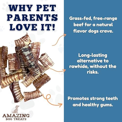 Amazing Dog Treats - 6 Inch Beef Trachea Dog Chews (10 pcs - 16.5 oz) - Trachea Dog Treats - NO Hide - Digestible and Safe Chews for Dogs - Glucosamine and Chondroitin for Joint Health