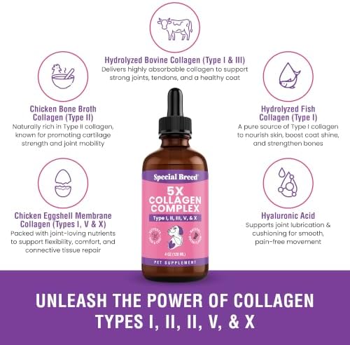 Premium Collagen for Dogs - Liquid Support for Joints, Skin, Coat, Bone, Immune System & HIPS - Collagen Supplement - Made in USA - Bacon Flavor - 4oz
