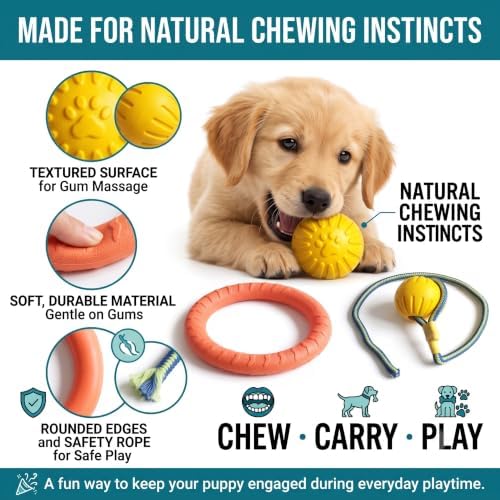 3-Piece Puppy Toys, EVA Chew Toy Set for Small Dogs | Quiet EVA chew toys with ball & tug ring for puppies and small dogs; designed for indoor and apartment play.