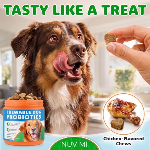 Probiotics for Dogs - 120 Chews - Helps Support Dog Gut Health - Chicken Flavored Chewable Probiotic Supplement - Digestive, Immunity & Skin Enzymes