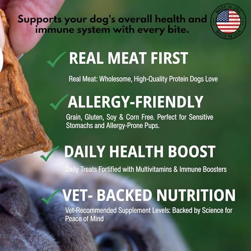 Loving Pets Activpetz Salmon Jerky Skin & Coat Formula Dog Treat, 7 Oz