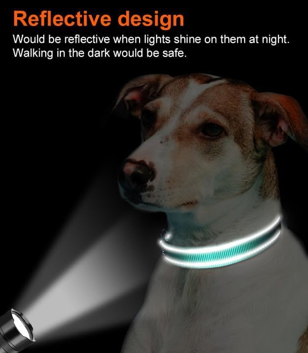 Joytale Reflective Dog Collar, Adjustable Neoprene Padded, Teal XS