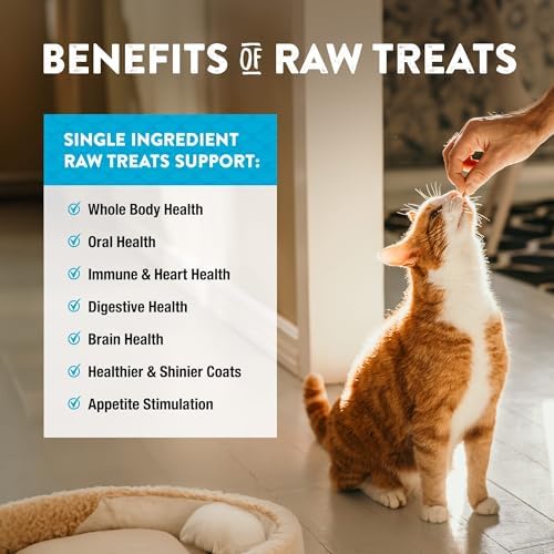 Northwest Naturals Raw Rewards Freeze-Dried Minnow Treats - 1oz (Pack of 3)