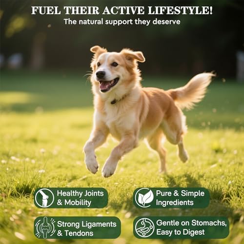 2 Pack Pure Green Lipped Mussels for Dogs and Cats