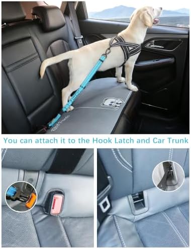 AUBELL Dog Seat Belt for Car - Updated 3-in-1 Bungee, Blue