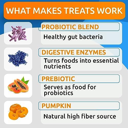 Allergy Relief Chews + Probiotics for Dogs - Digestive Enzymes for Allergies Itchy Skin w/Fish Oil Omega 3 - Dogs Digestive Health - Gas, Diarrhea,