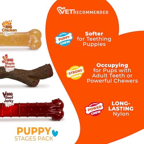 Nylabone Puppy Stages Pack Dog Chew Toys, 3 Count | Medium, chicken, bacon, & beef jerky flavor, variety of engaging shapes, teething toys for puppy enrichment, up to 35 lbs