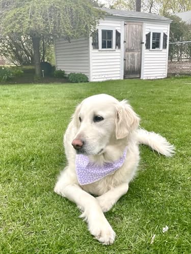 Lionet Paws Spring Daisy Dog Bandana Washable Cotton Handkerchief Scarf Triangle Purple Bandana for, Small (Pack of 1), Small, Purple