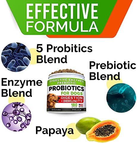 No Poo Treats + Dog Probiotics for Picky Eaters Bundle - No Poop Eating for Dogs + Chewable Fiber Supplement - Digestive Enzymes + Prebiotics - Coprophagia Stool Eating Deterrent + Improve Immunity