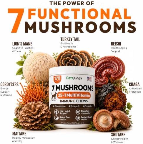 Turkey Tail Mushroom for Dogs - 170 Chews - Lion's Mane, Shiitake & Reishi | Buddy Immune Support Guard - Mushroom Supplement for Dogs Lumps & Bumps - Glucosamine, Health Vitamins & Multivitamin