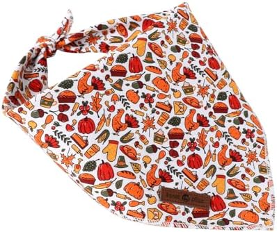 Lionet Paws Cotton Dog Bandanas, Turkey, Pumpkin, Large (Pack of 1), Medium
