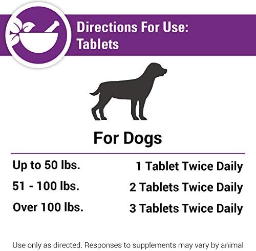 Vet Classics Antioxidants Supplement with Coenzyme Q-10 for Dogs - 120 Ct
