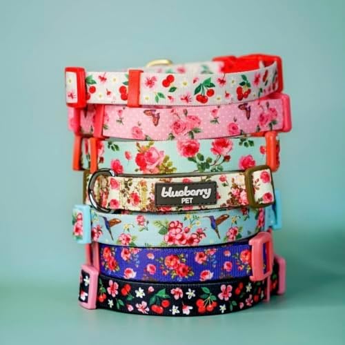 Blueberry Pet Cherry Garden Black Adjustable Dog Collar with Dainty Flowers, X-Small, Neck 8"-11"