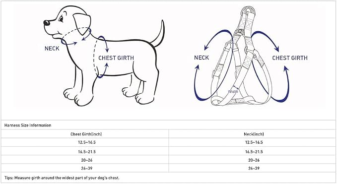 Blueberry Pet Essentials Step-in Reflective Back to Basics Dog Harness, Navy Blue, Chest Girth 16.5" - 21.5", Small, Adjustable Harnesses for Dogs