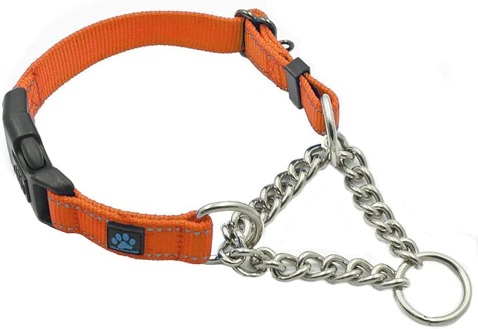 Max and Neo Stainless Steel Chain Martingale Collar - We Donate to a Dog Rescue for Every Collar Sold (Small, Orange)