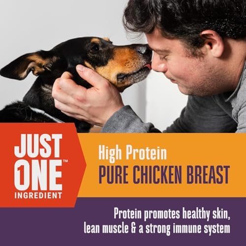 Whole Life Just One Chicken Freeze-Dried Dog Treats - 21 oz (Pack of 4)