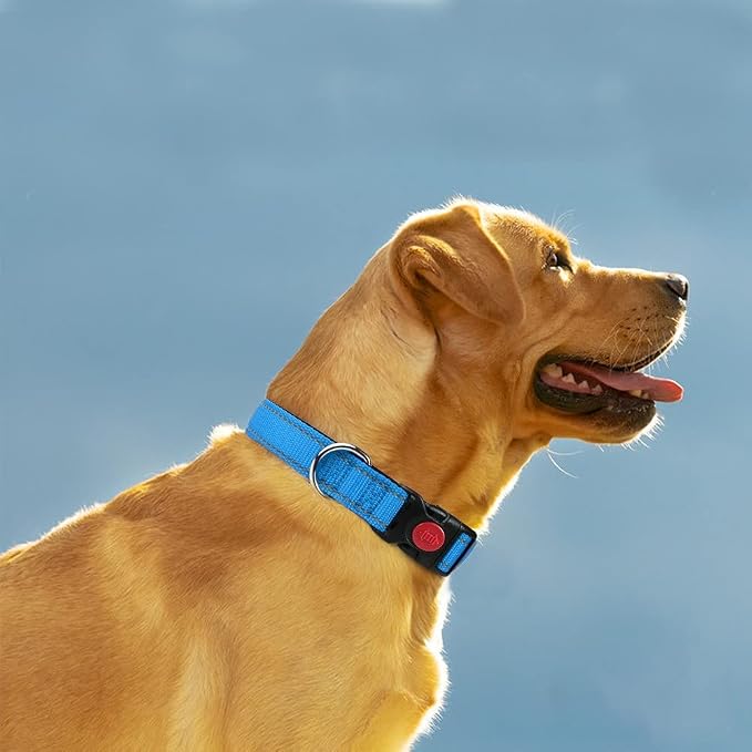 Taglory 18"-28" Length, 1 1/4" Wide Dog Collar and Leash Set, 1/2" x 6 FT Highly Reflective Threads Dog Leash for Large Dogs,SkyBlue