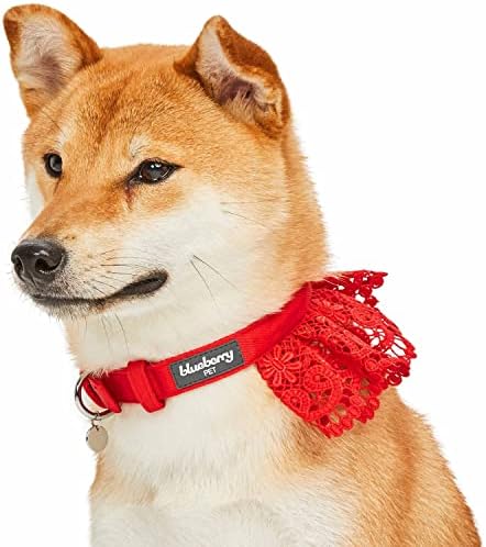 Blueberry Pet Floral Lace Adjustable Dog Collar in True Red with Metal Buckle, Neck 17-20.5", for Large Breed