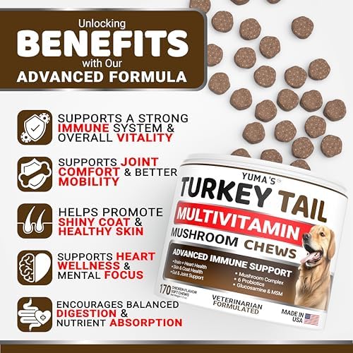 (2 Pack) Turkey Tail Mushroom for Dogs - 340 Ct - Mushroom Chews for Dogs | Lipoma Lumps and Bumps - Immune Health, Digestive, Skin, Joint Vitamin Support Guard Buddy - Multivitamin Supplement